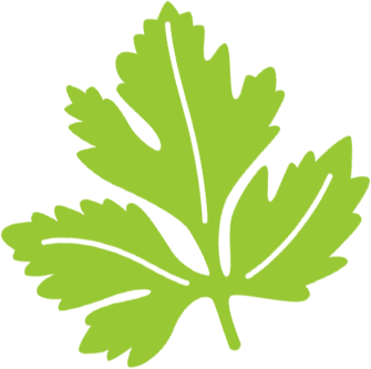Hoja decortativa